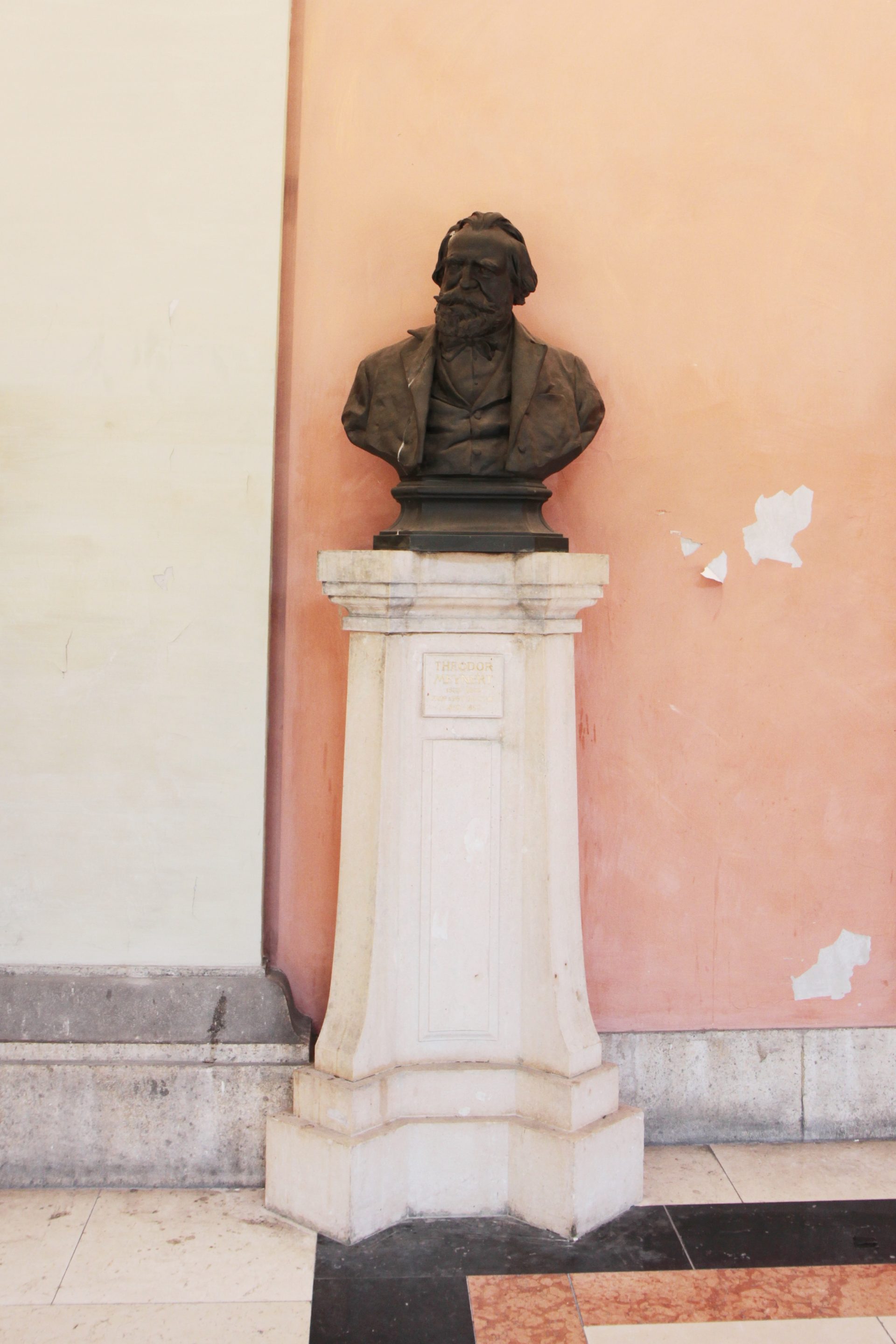 Theodor Meynert's bust,Medical monuments B, UNI Vienna (2).JPG